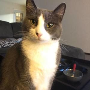 Meet your Posher, Eric